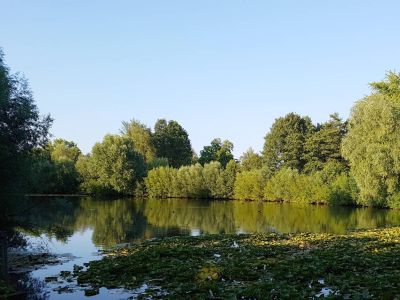 Weiterlesen: Teichanlage Krückaupark